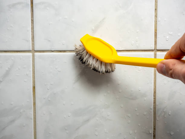 Best Commercial Mold Removal  in Polk City, IA