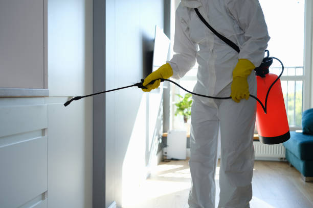 Best Fast Mold Removal  in Polk City, IA