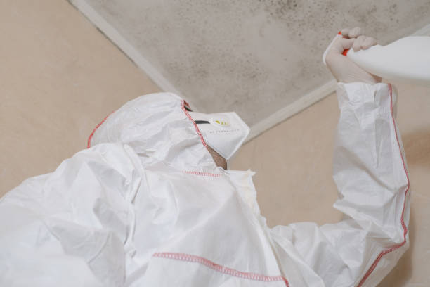 Best Mold Testing  in Polk City, IA